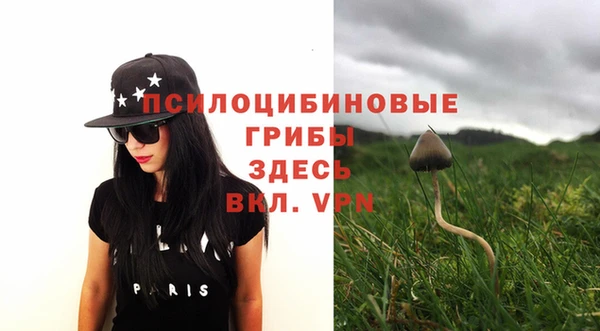 экстази Вяземский
